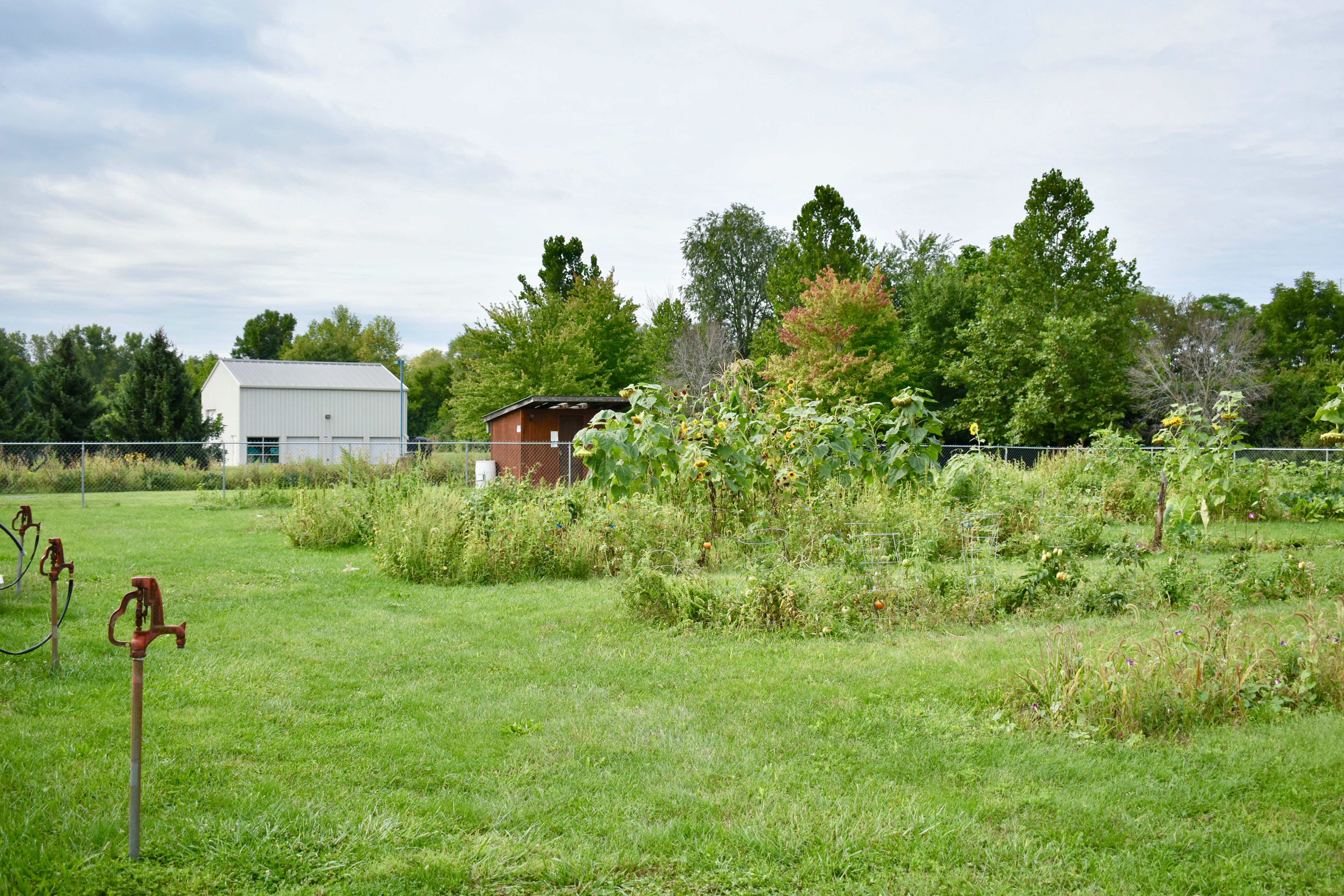 Community Garden - Growing area with barn in background