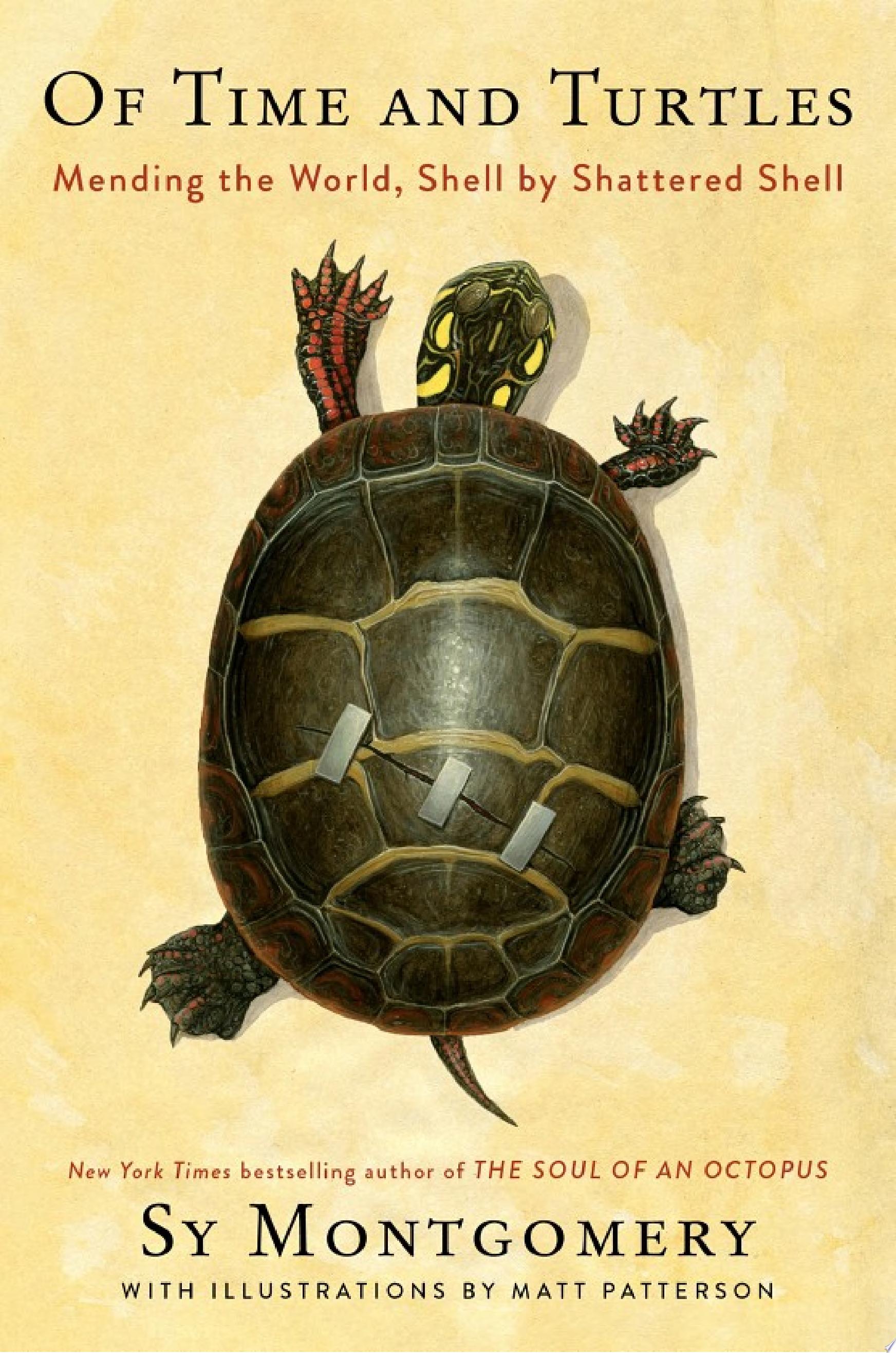 Cover art for "Of Time and Turtles" with a photo-realistic illustration of a turtle.